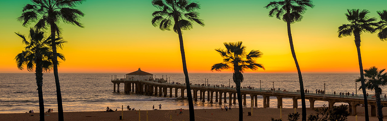 Palm Trees and Pier on Beach